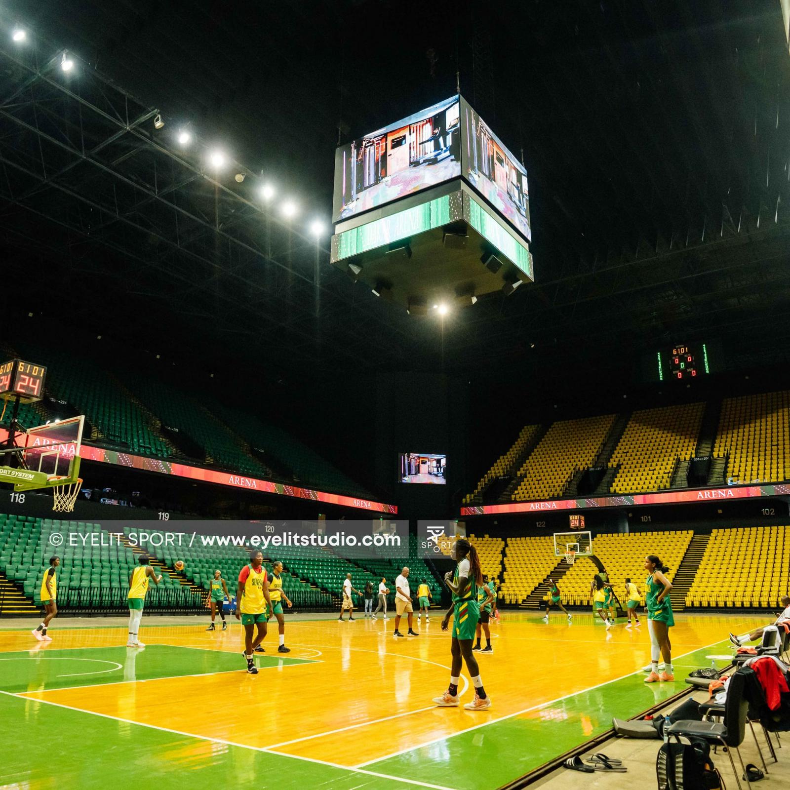 Afrobasket féminin : la liste des 14 Lionnes présélectionnées