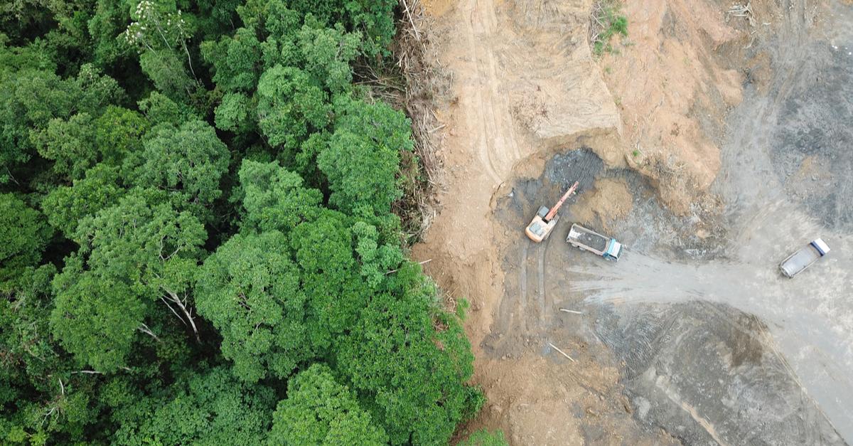 Bignona : L\'horrible découverte dans la forête de Tenghory